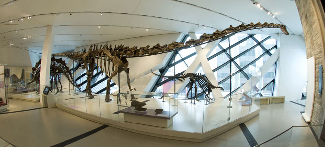 Royal Ontario Museum Interior