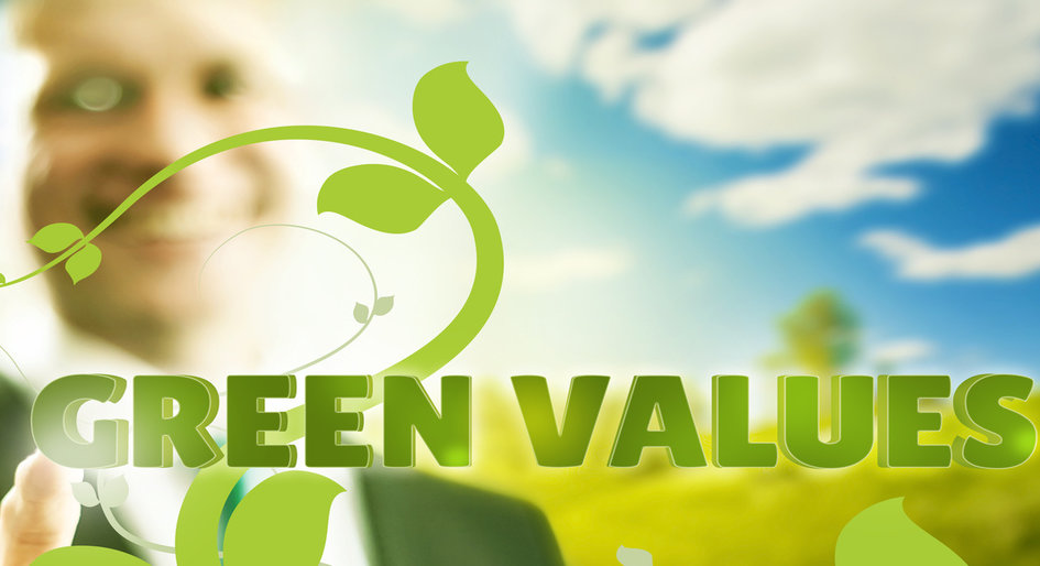 Green Business Values - REMI Network