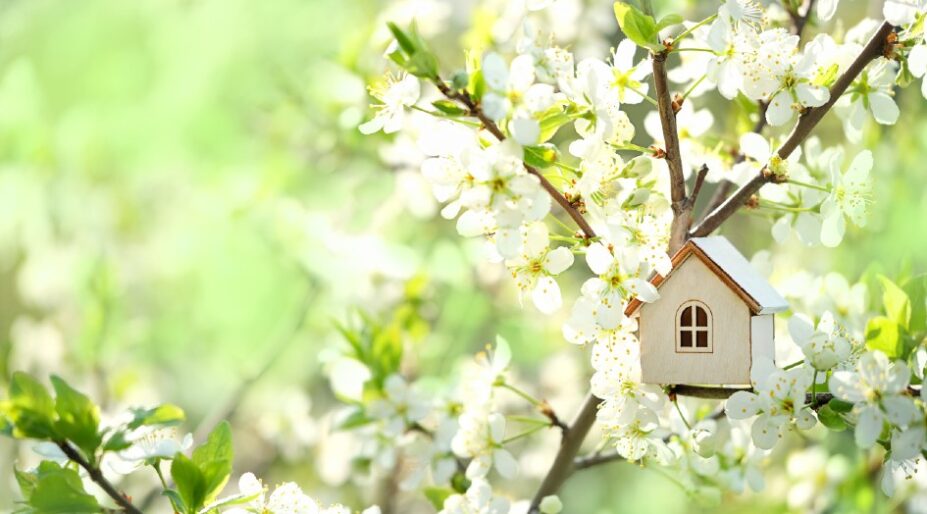 Spring maintenance for newly built homes - REMI Network